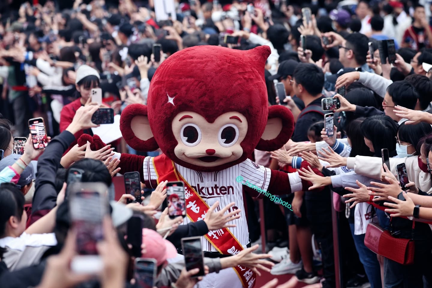 影像回顧／樂天桃猿冠軍遊行